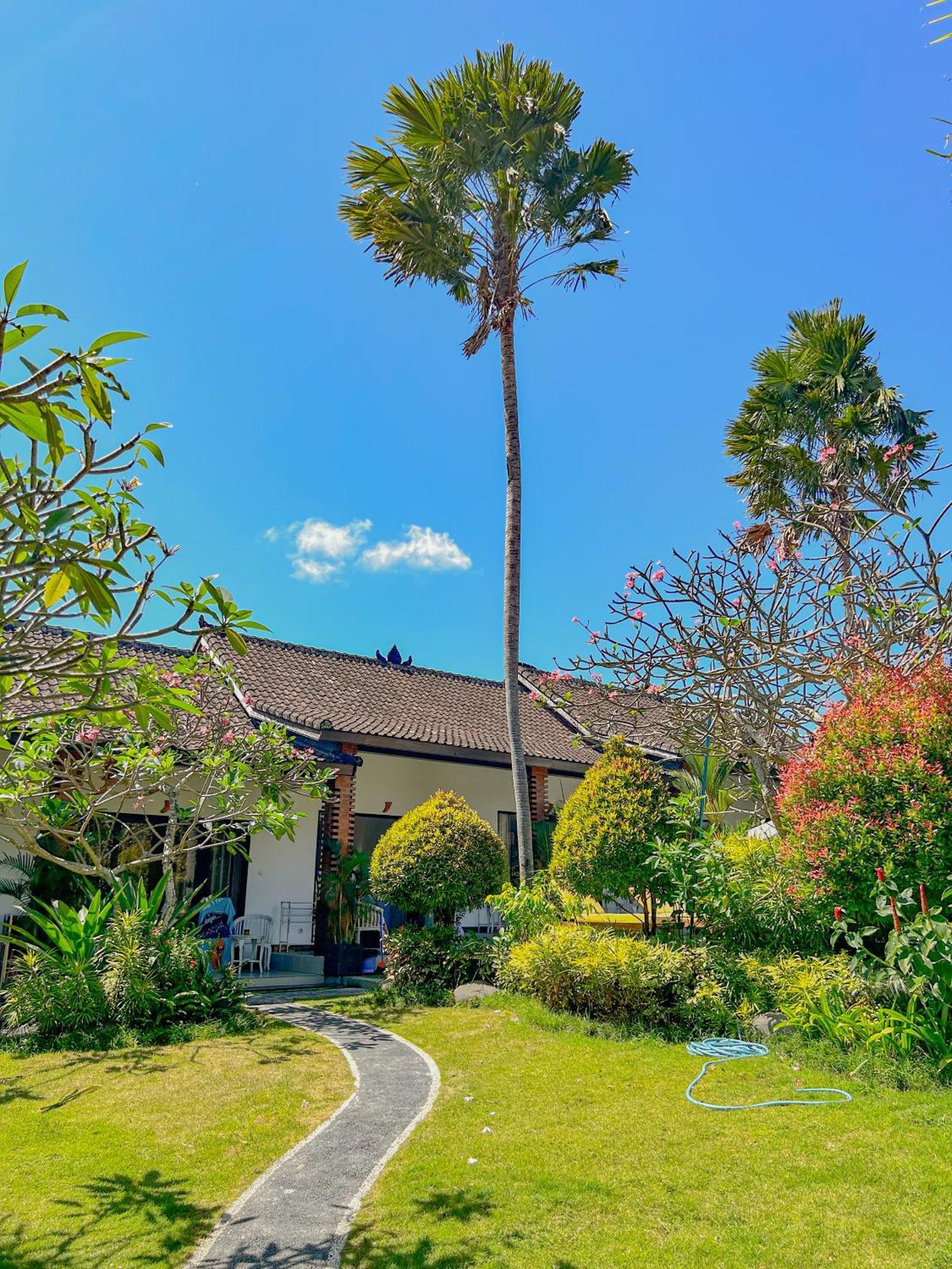 Lemon Guest House Canggu Exterior foto